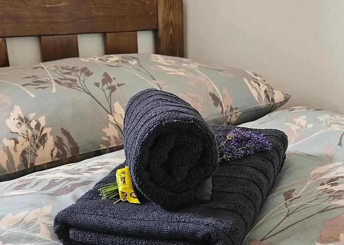 Apartmanovy Domcek 度假居 *